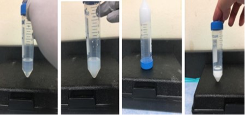 gel in beaker