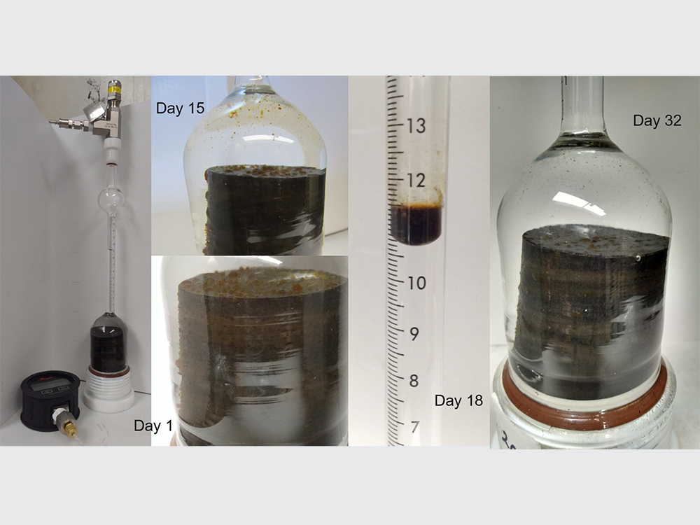 composite photo of four days of research